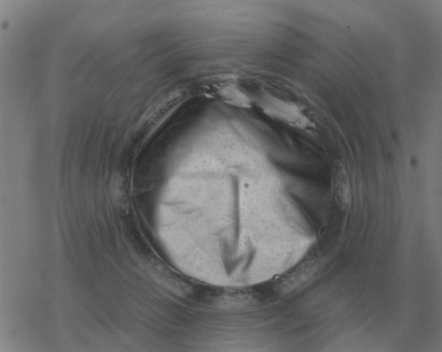 X0000077390270200611101802