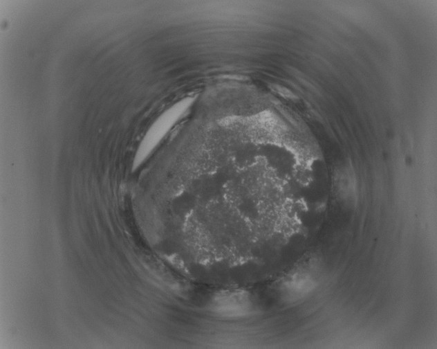 X0000077390271200611101802