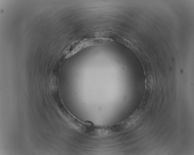 X0000077390272200611101802