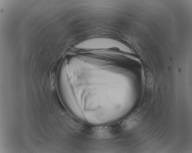 X0000077390273200611101802