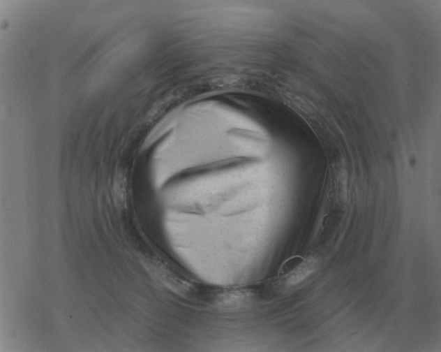 X0000077390274200611101802