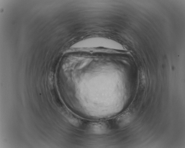 X0000077390275200611101802