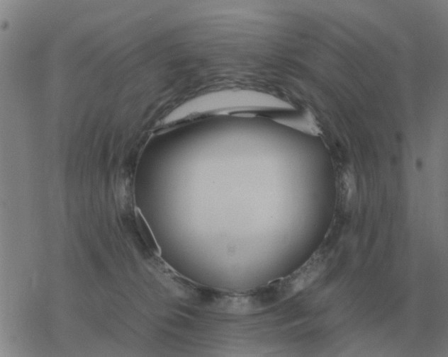 X0000077390276200611101802