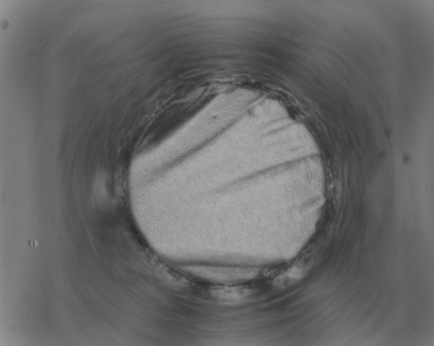 X0000077390277200611101802