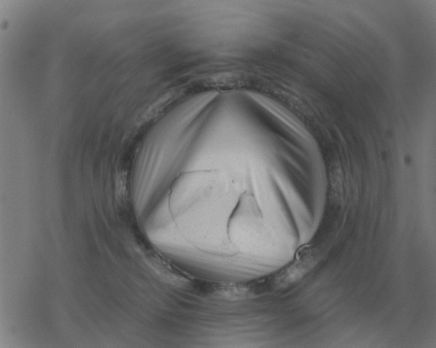 X0000077390278200611101802