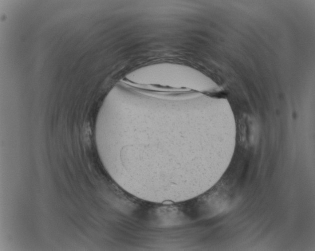 X0000077390279200611101802