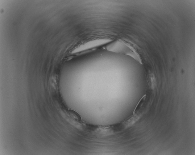 X0000077390280200611101802