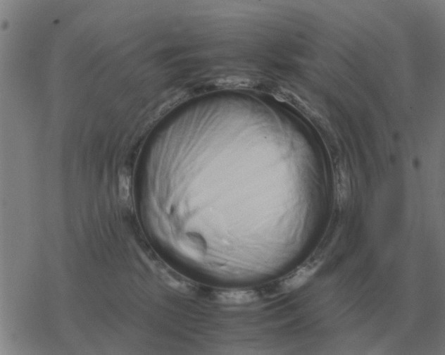 X0000077390281200611101802