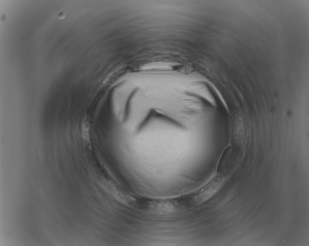 X0000077390282200611101802