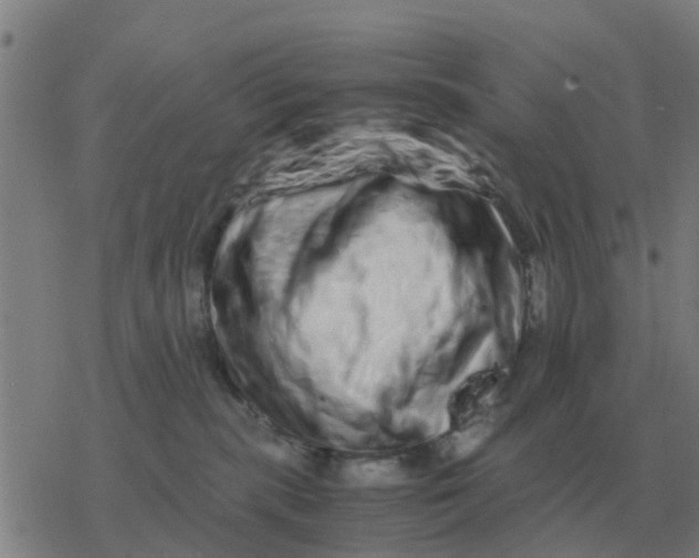 X0000077390283200611101802