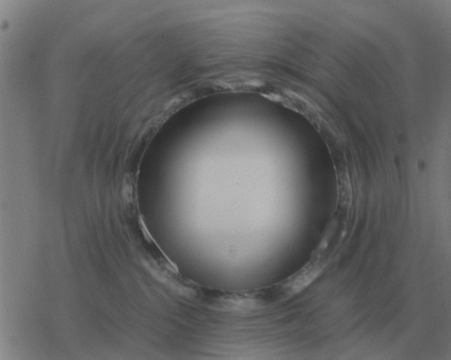 X0000077390284200611101802