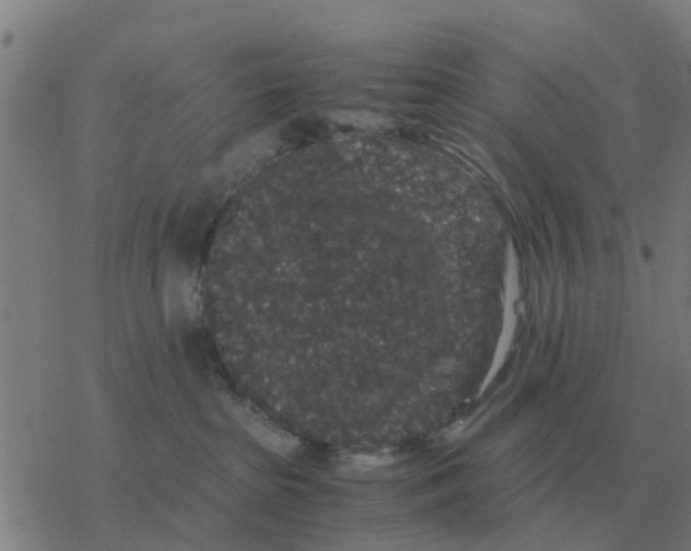 X0000077390285200611101802