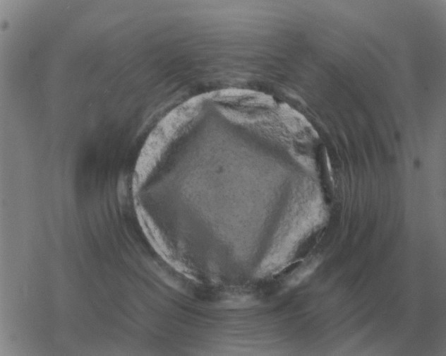 X0000077390286200611101802