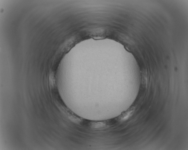 X0000077390287200611101802