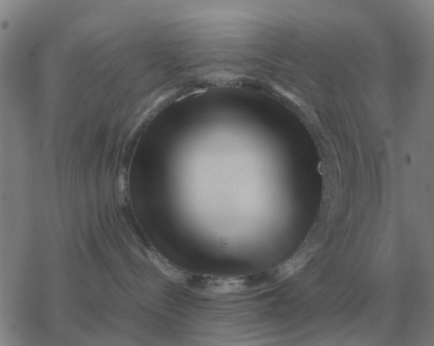 X0000077390288200611101802