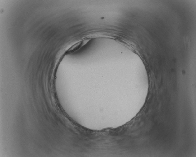 X0000077390289200611101801