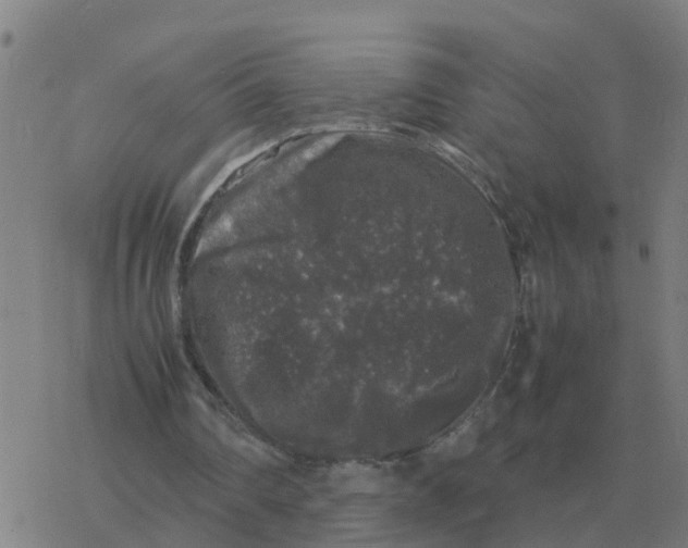 X0000077390290200611101801