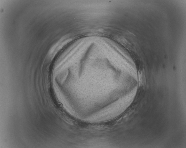 X0000077390291200611101801