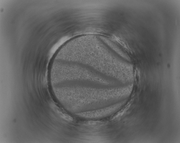 X0000077390292200611101801