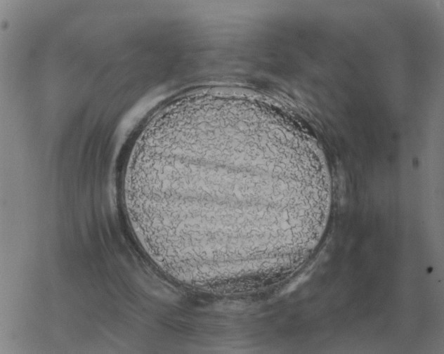 X0000077390294200611101801