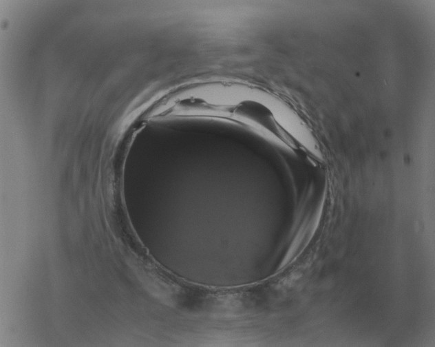 X0000077390295200611101801