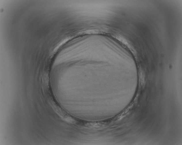 X0000077390297200611101801