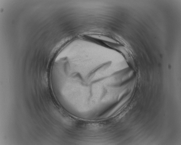 X0000077390298200611101801