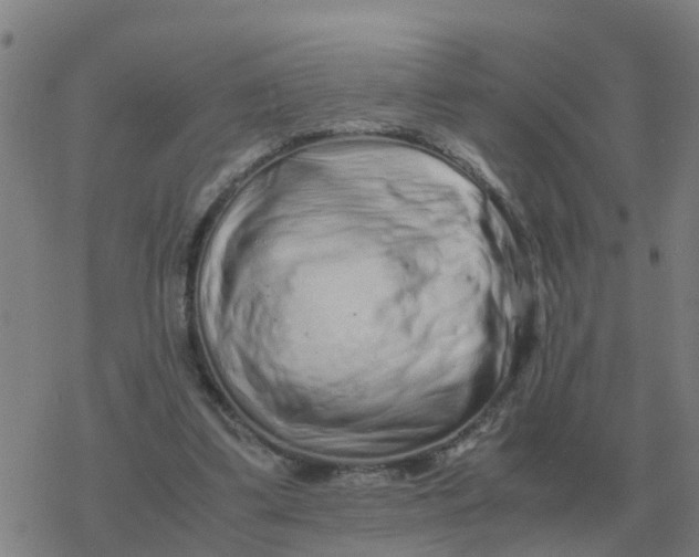 X0000077390299200611101801