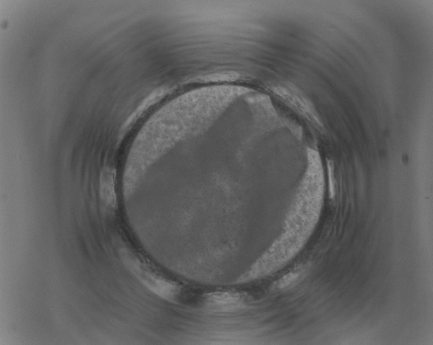 X0000077390300200611101801