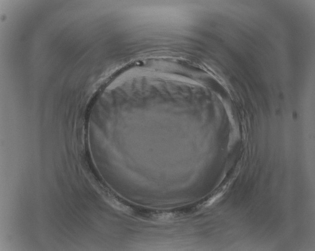 X0000077390301200611101801