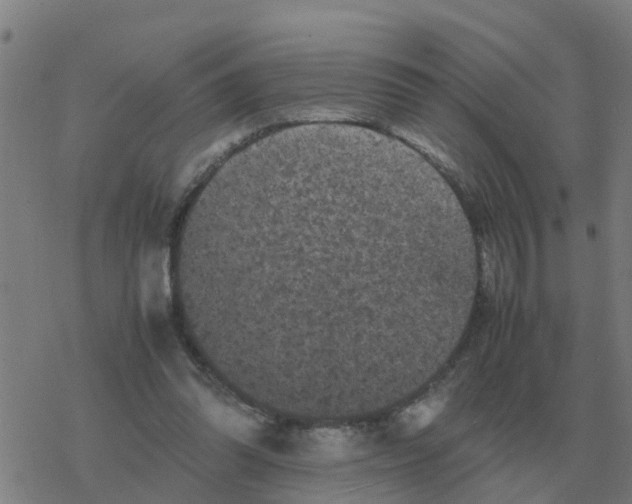 X0000077390302200611101801