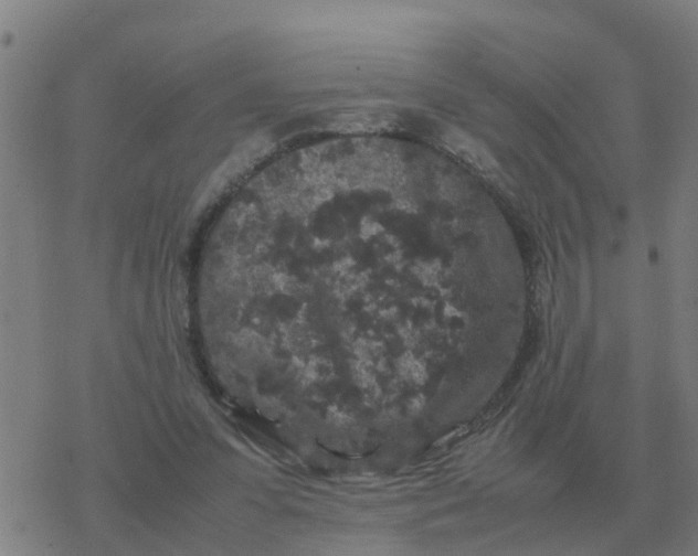 X0000077390303200611101801