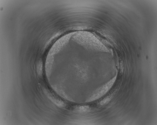 X0000077390304200611101801