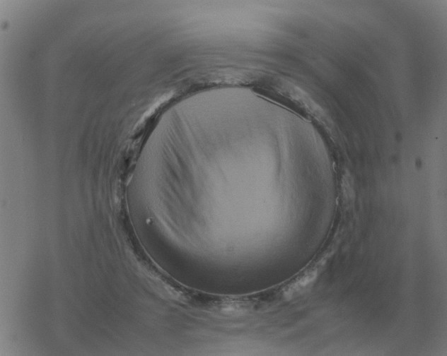 X0000077390305200611101801