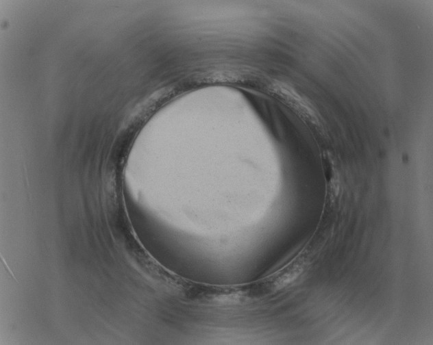 X0000077390306200611101801