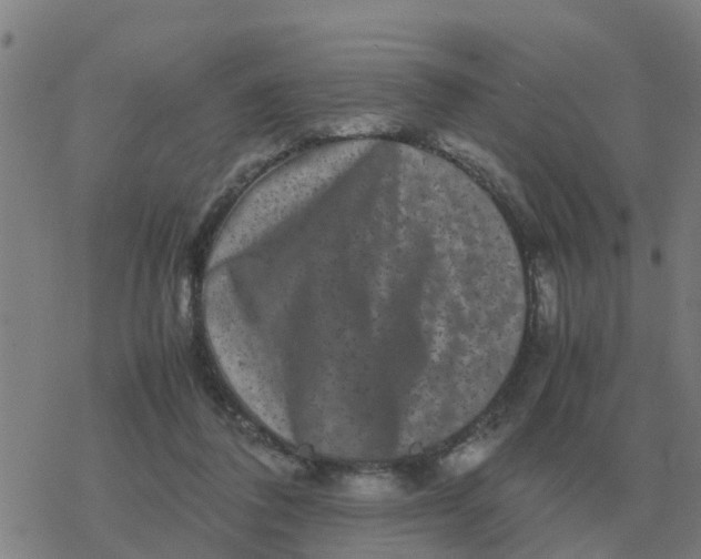 X0000077390308200611101801