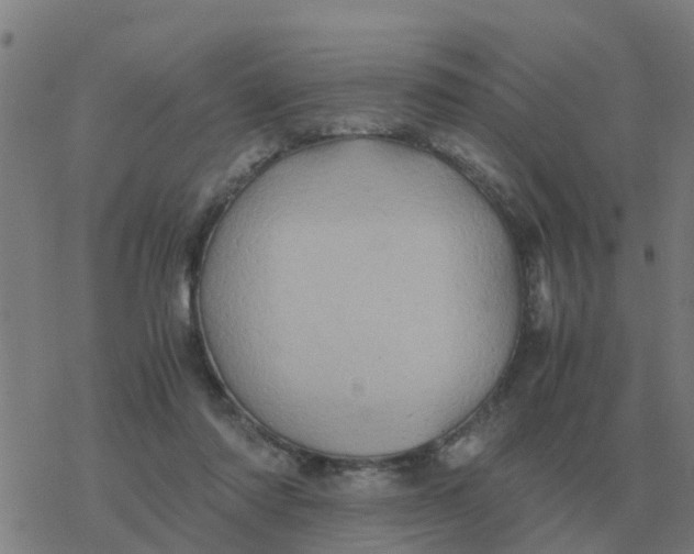 X0000077390310200611101801