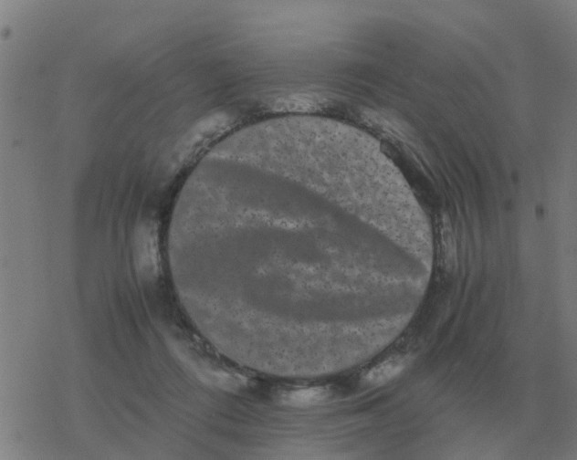 X0000077390312200611101801