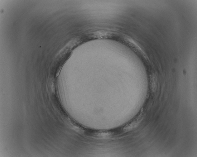 X0000077390313200611101801