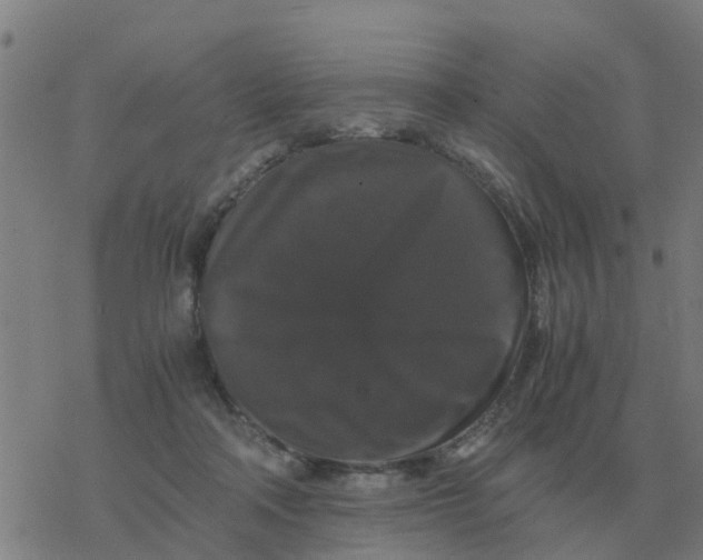 X0000077390314200611101801