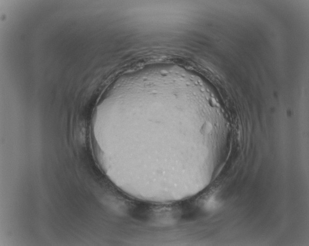 X0000077390315200611101801