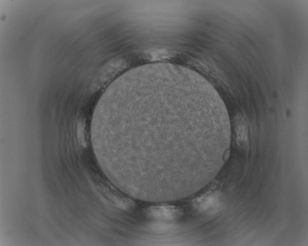 X0000077390316200611101801