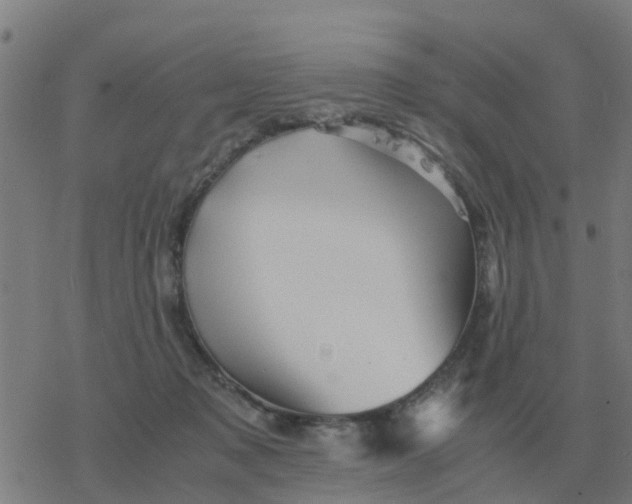 X0000077390317200611101801