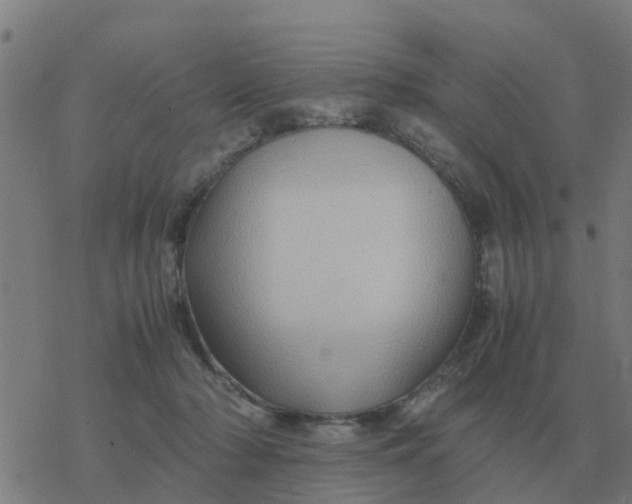 X0000077390318200611101801