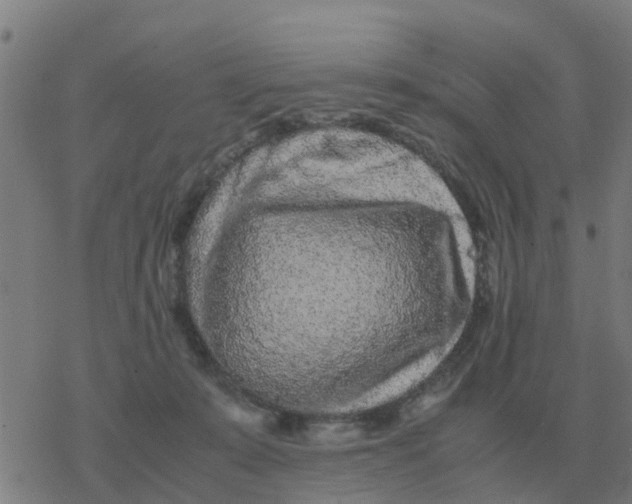 X0000077390319200611101801