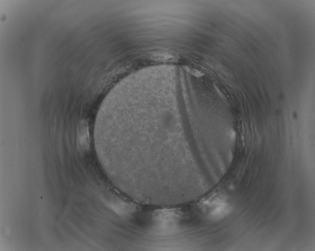 X0000077390320200611101801