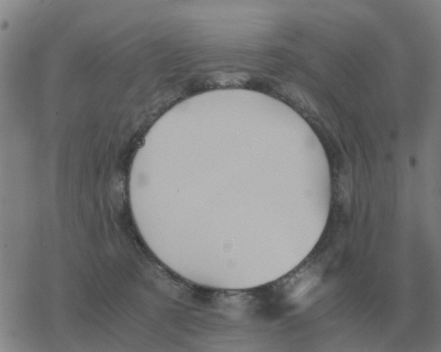 X0000077390321200611101801