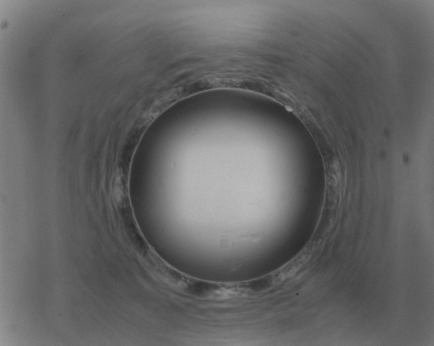 X0000077390323200611101801