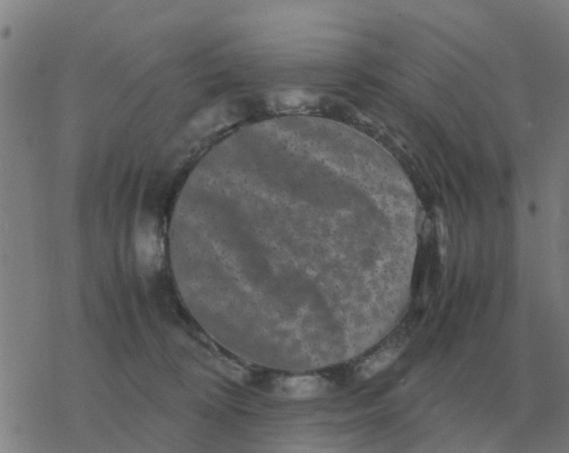 X0000077390324200611101801