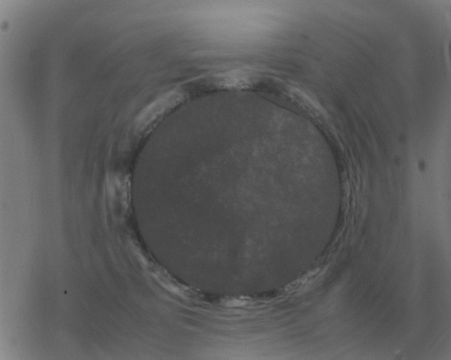 X0000077390325200611101801